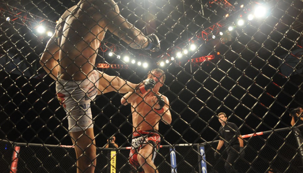 Exploring the World of Fight Night Betting in Combat Sports