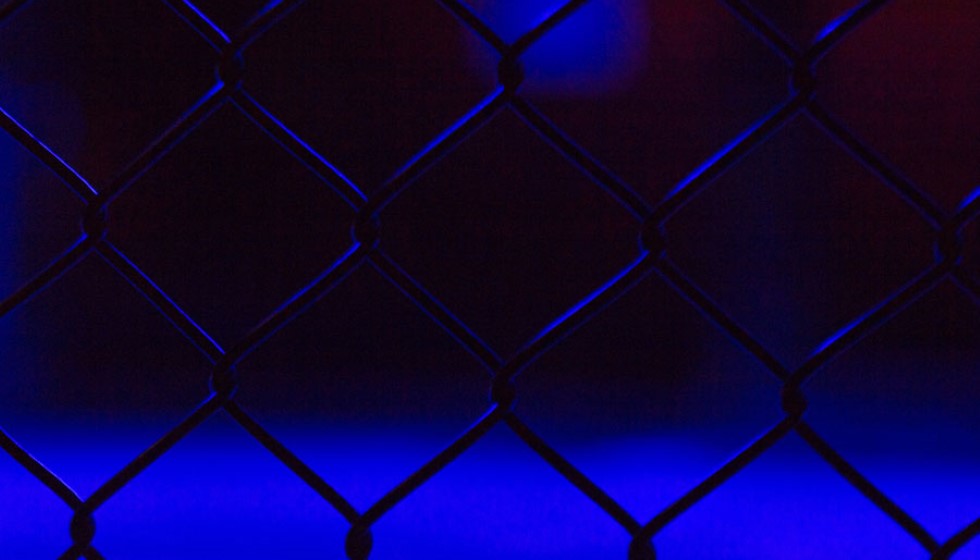 Dricus du Plessis: The Resilient Champion from South Africa